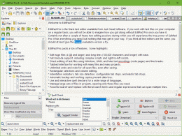Download EditPad Pro 6.3.0
