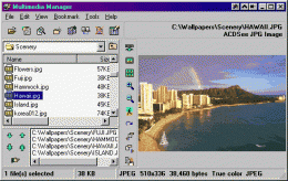 Download Multimedia Manager 2.5a