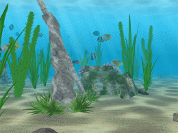 Download Water Life 2.9.9