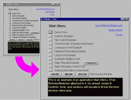 Download ShrinkerStretcher for MS Access 2002