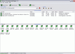 Download Streaming Audio Ripper 1.90