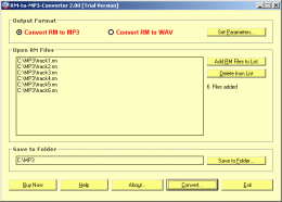 Download RM-to-MP3-Converter