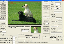 Download Viscomsoft Document Imaging SDK