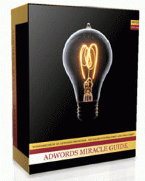 Download Adwords Miracle