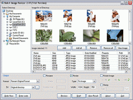 Download Batch Image Resizer 2.73