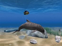 Download Dolphin Aqua Life 3D Screensaver 3.1.0