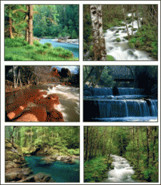 Download Rivers In Nature Screensaver