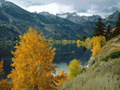 Download Free Mountain Lake Screensaver
