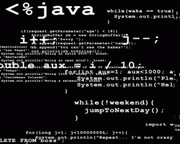 Download Java Programmers Brain