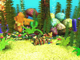 Download Free 3D Aquarium Screensaver