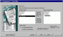 Download Cub Editor for MS Access