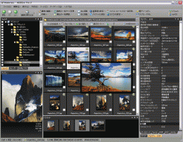 Download ACDSee Pro 2 Photo Manager