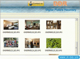 Download Deleted Digital Image Recovery