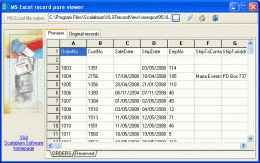 Download ExcelFile Viewer