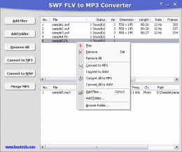 Download SWF FLV to MP3 Converter 3.0.569