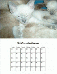 Download 1 Cool Calendar Maker Software to make great calendars