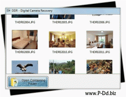 Download Digital Camera Image Retrieval Software