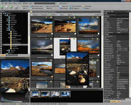 Download ACDSee Pro Photo Manager 2.5 2.5.335