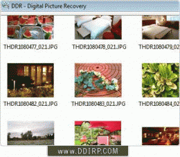 Download Digital Pictures Restoration Software