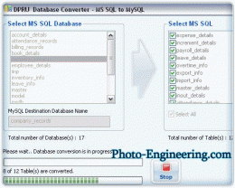Download Convert MSSQL Database To MySQL