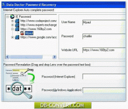 Download IE Passwords Unmask Software