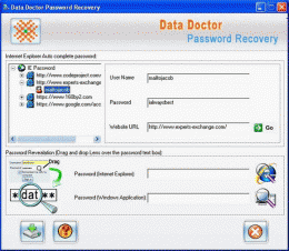 Download IE Passwords Recovery Software