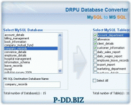 Download MySQL DB To MS SQL Migrator