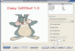 Download Easy Gif2Swf