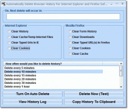 Download Automatically Delete Browser History For Internet Explorer and Firefox Software