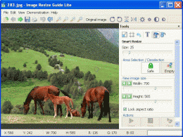 Download Image Resize Guide Lite