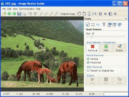 Download Image Resize Guide 1.1