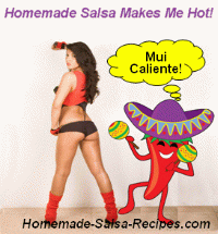 Download Salsa Recipes 1.00
