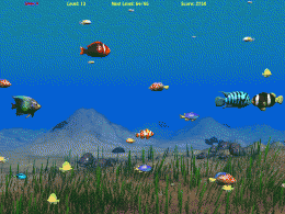 Download Sea Fish 4.4
