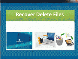Download Recover Delete Files