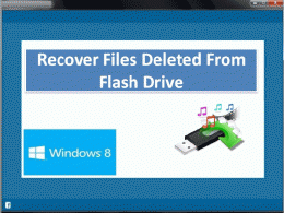 Download Recover Files Deleted from Flash Drive
