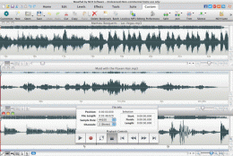 Download Wavepad Audio Editor Free for Mac