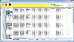Download Resolve SQL Database Corruptions 13.05.01
