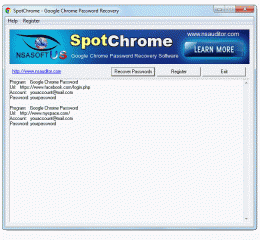 Download SpotChrome Password Recovery