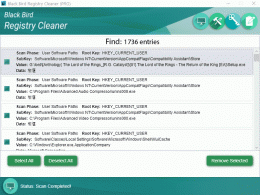 Download Black Bird Registry Cleaner 1.0.0.4