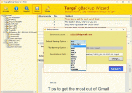 Download Gmail Backup to PDF Format