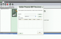 Download Stellar Phoenix Windows Backup Recovery 4.0