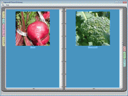 Download Aglowsoft Picture Dictionary
