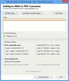 Download Bulk Convert MSG File into PDF