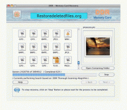 Download Mac Undelete Tool