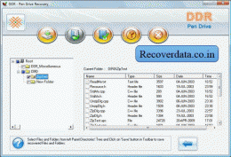 Download File Recovery Software