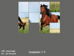 Download Horse 12 Puzzle
