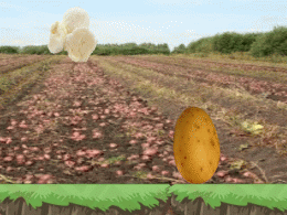 Download Adventures Potatoes