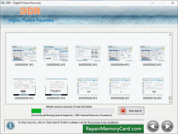 Download Formated Camera Recovery Software 4.9.8.2