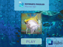 Download Ultimate Puzzles Marine Life
