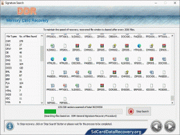 Download P2 Card Recovery Software 9.9.1.2
